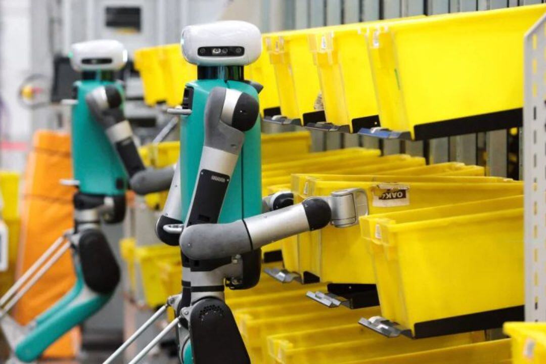 Texto do seu parágrafo (3)-3