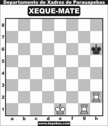 giphy - 2023-06-13T181510.509 (1)